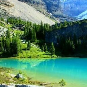 Meet your Posher, Arnoldo